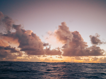 The ocean