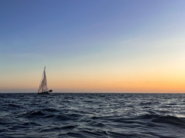 Sea